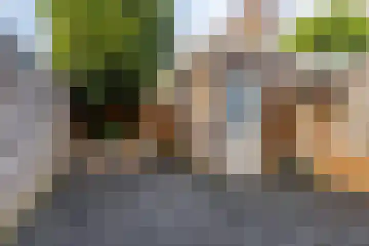 Fazantstraat 35 Helmond thumbnail 6