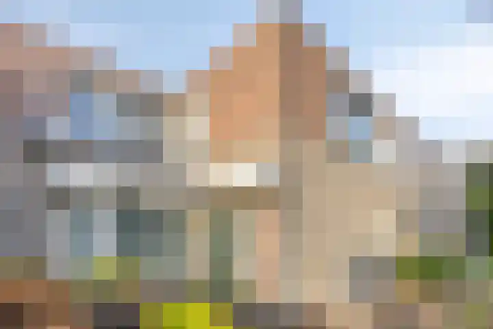 Fazantstraat 35 Helmond thumbnail 7