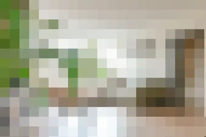 Fazantstraat 36 Alphen aan den Rijn thumbnail 13