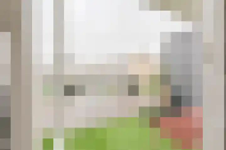 Fazantstraat 36 Alphen aan den Rijn thumbnail 35