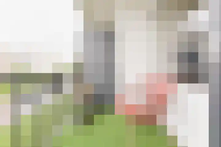 Fazantstraat 36 Alphen aan den Rijn thumbnail 36