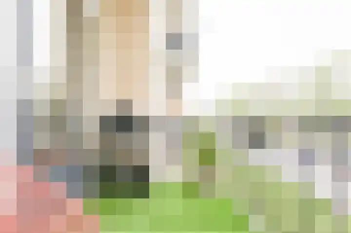 Fazantstraat 36 Alphen aan den Rijn thumbnail 37