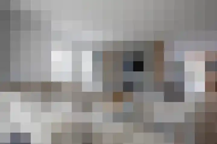 Fazantstraat 39 Culemborg thumbnail 10
