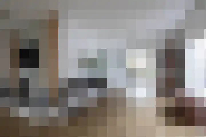 Fazantstraat 39 Culemborg thumbnail 13