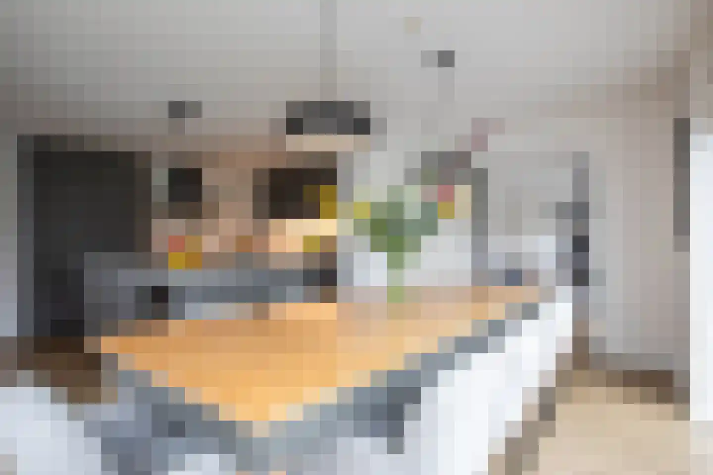 Fazantstraat 39 Culemborg thumbnail 17