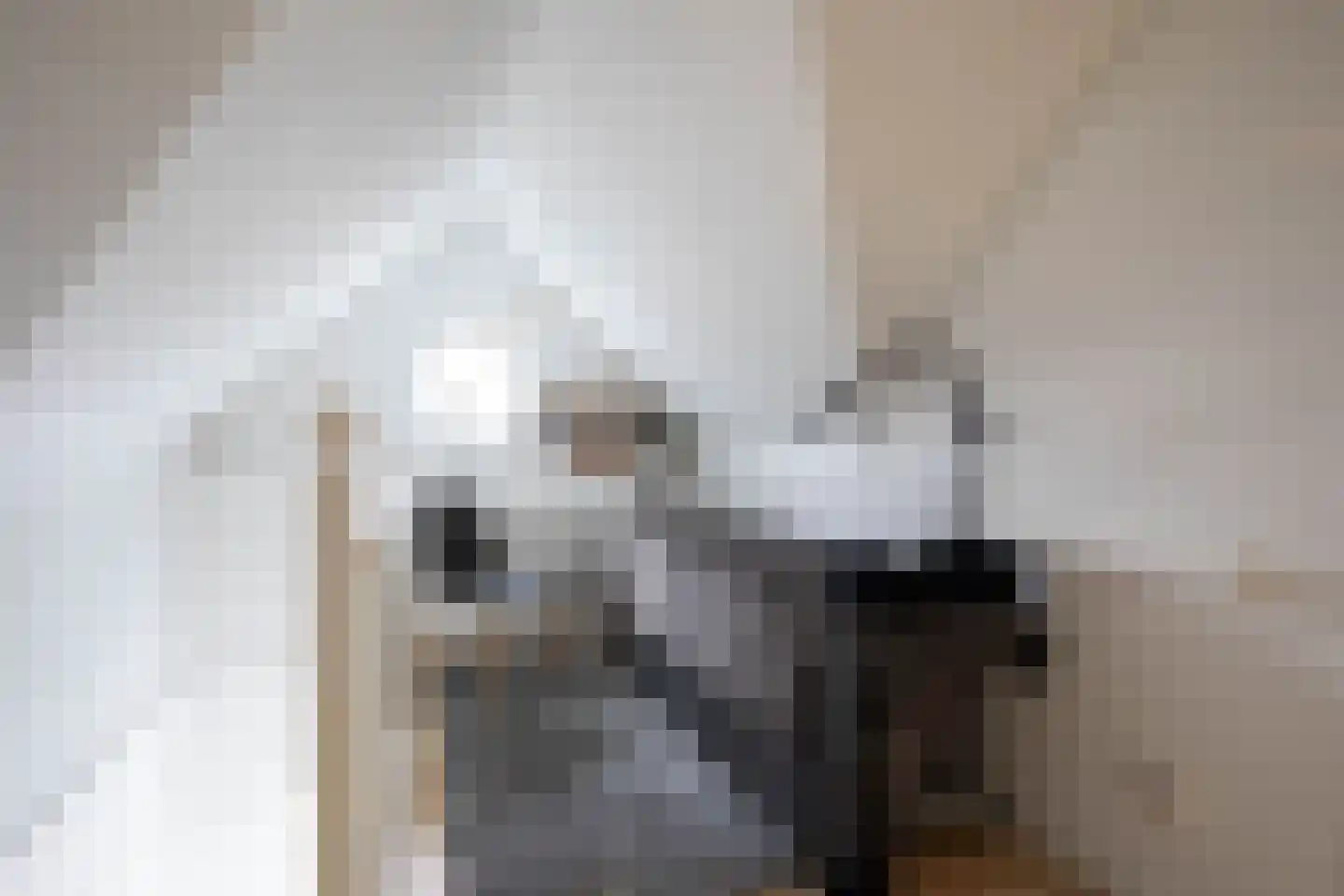 Fazantstraat 39 Culemborg thumbnail 41