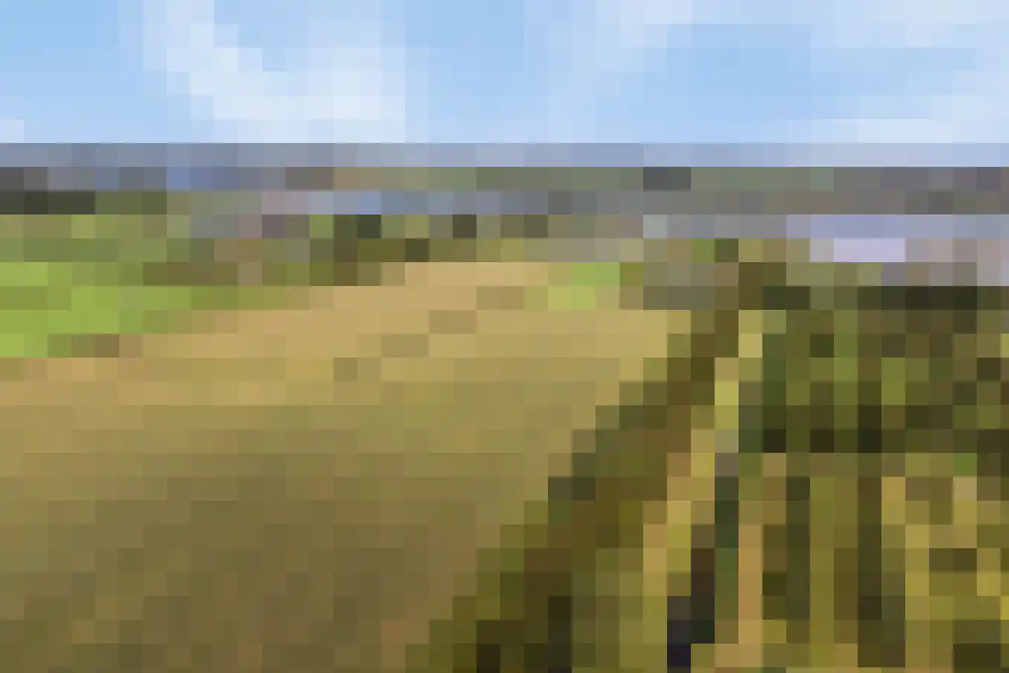 Fazantstraat 39 Culemborg thumbnail 44