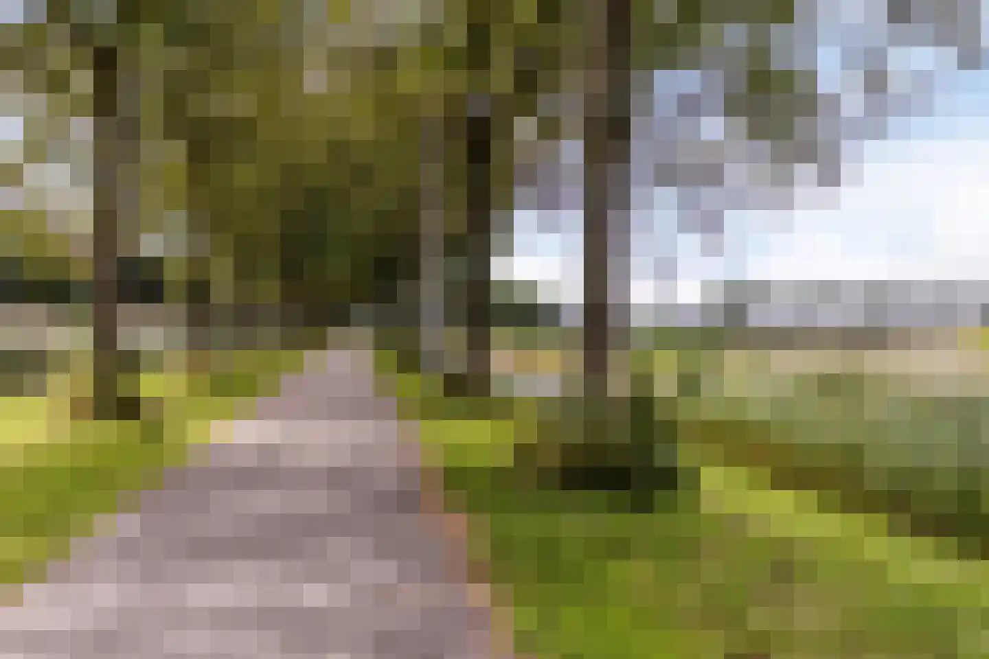 Fazantstraat 39 Culemborg thumbnail 46