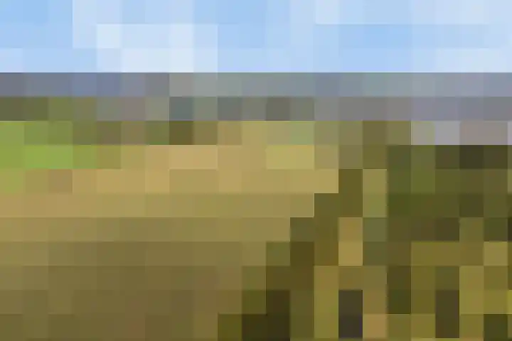 Fazantstraat 39 Culemborg thumbnail 51