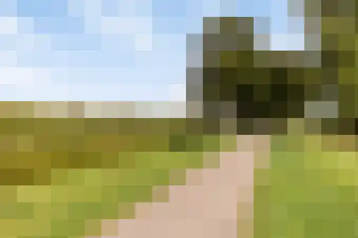 Fazantstraat 39 Culemborg thumbnail 52