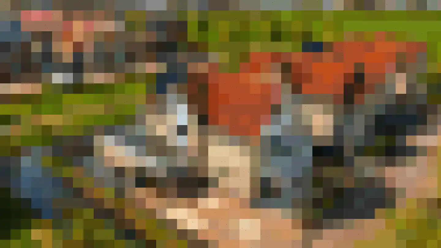 Fazantstraat 39 Culemborg thumbnail 56