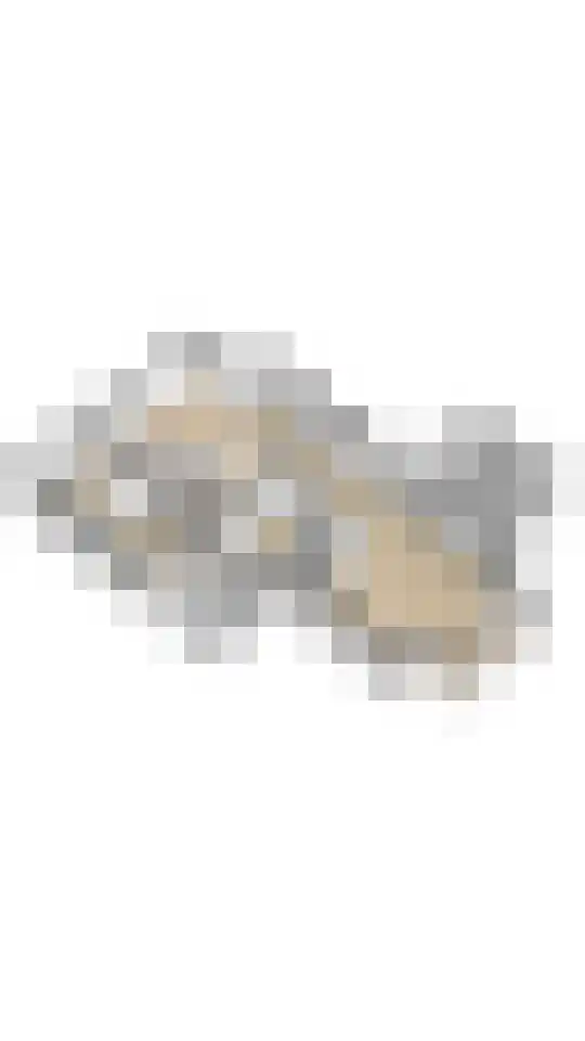 Fazantstraat 39 Culemborg thumbnail 59