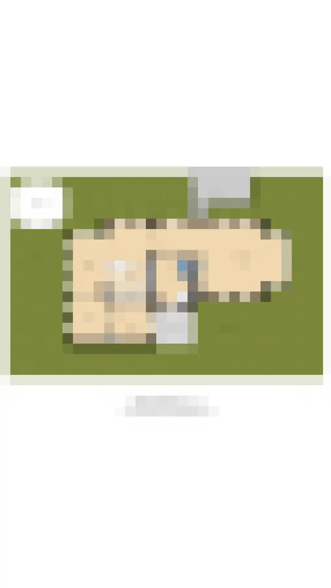 Fazantstraat 39 Culemborg thumbnail 64