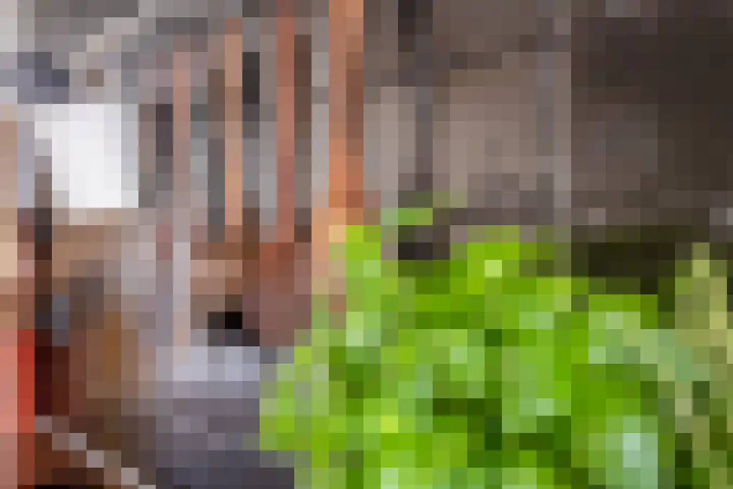 Fazantstraat 39 Lisse thumbnail 12