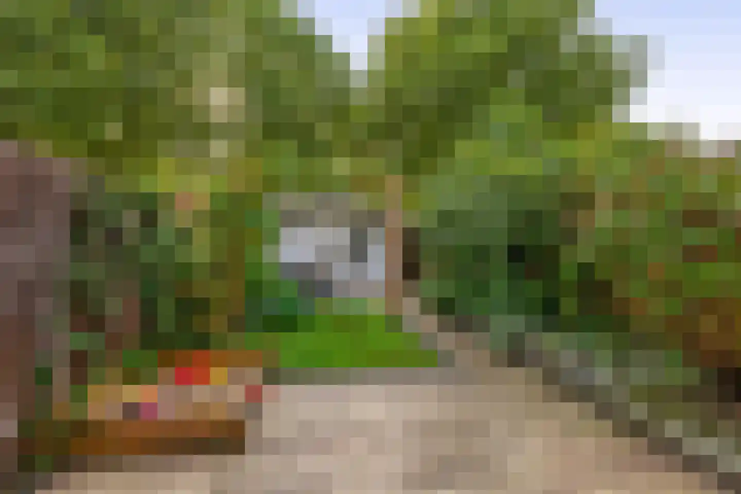 Fazantstraat 39 Lisse thumbnail 17