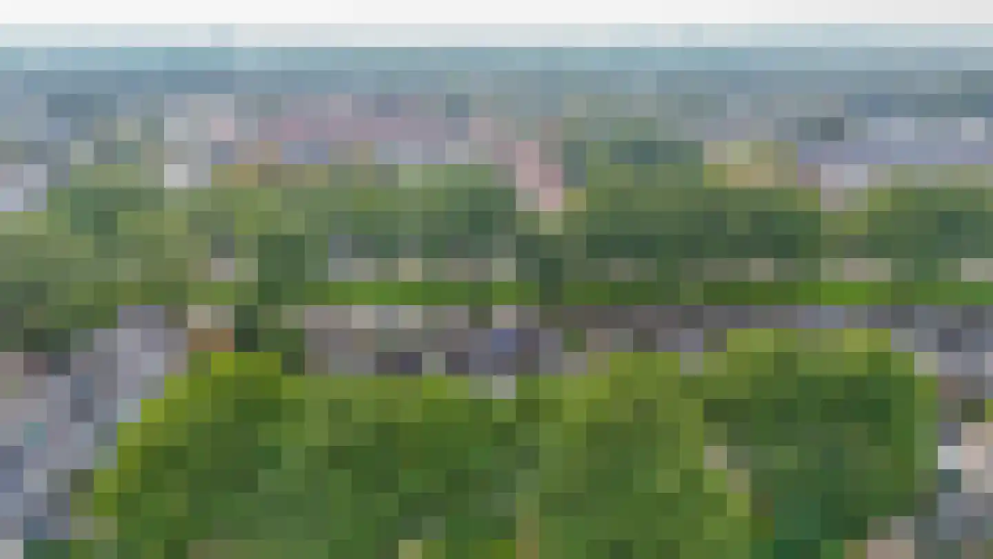 Fazantstraat 39 Lisse thumbnail 43