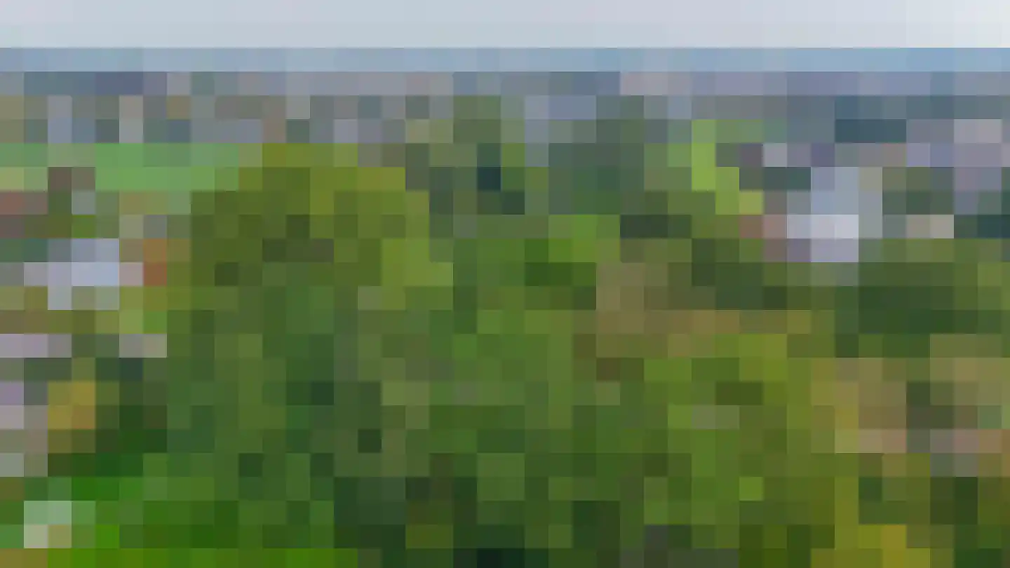 Fazantstraat 39 Lisse thumbnail 44
