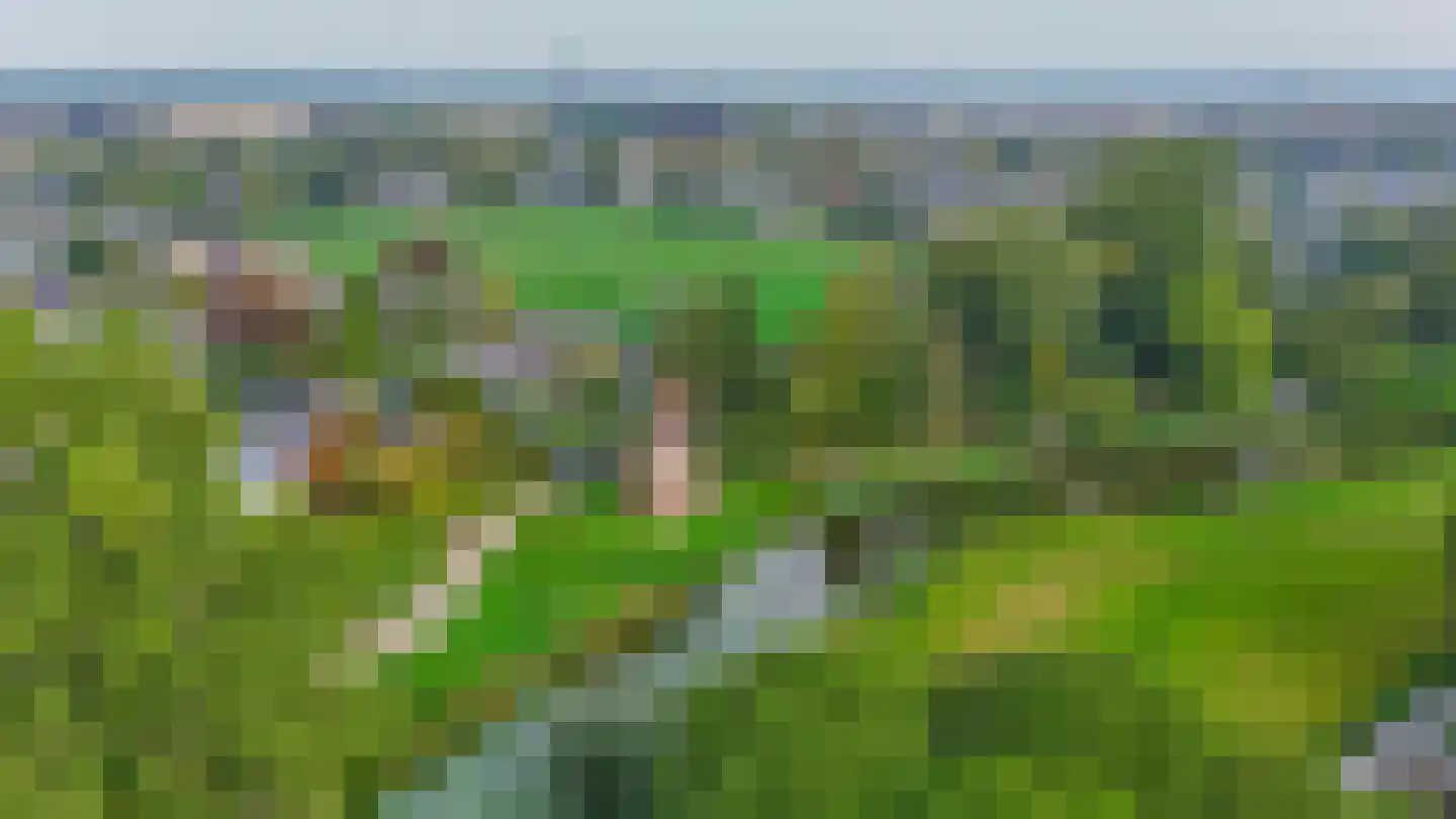 Fazantstraat 39 Lisse thumbnail 45