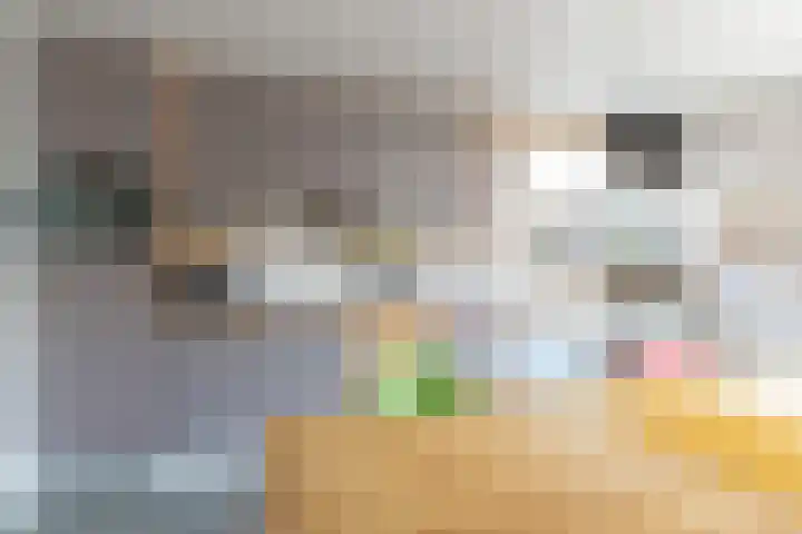Fazantstraat 39 Zundert thumbnail 12