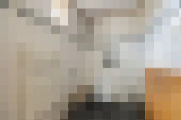 Fazantstraat 39 Zundert thumbnail 15