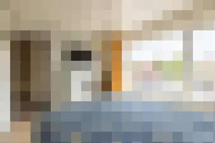 Fazantstraat 39 Zundert thumbnail 18