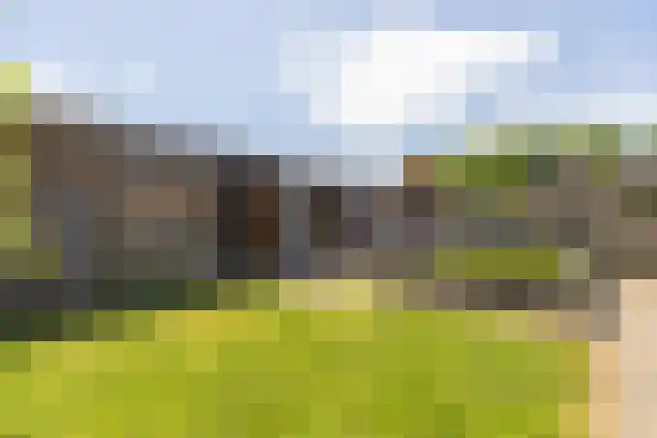 Fazantstraat 39 Zundert thumbnail 33