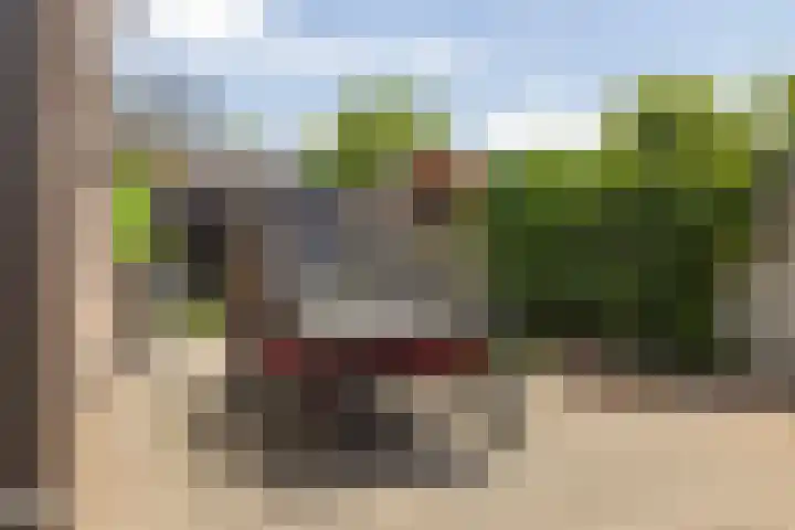 Fazantstraat 39 Zundert thumbnail 36
