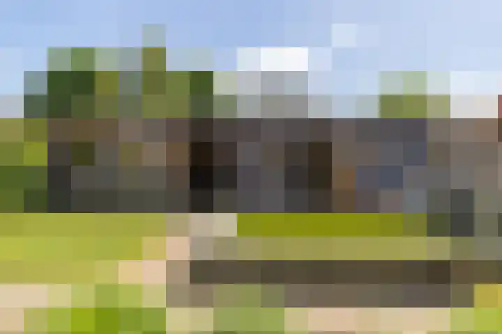 Fazantstraat 39 Zundert thumbnail 4