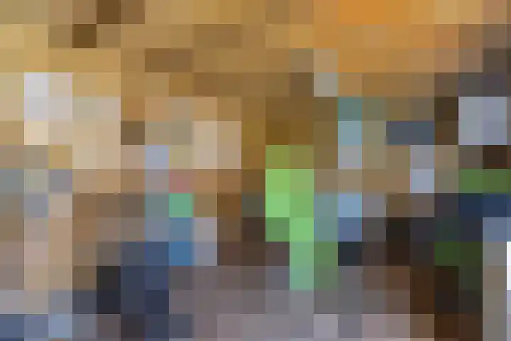 Fazantstraat 39 Zundert thumbnail 5