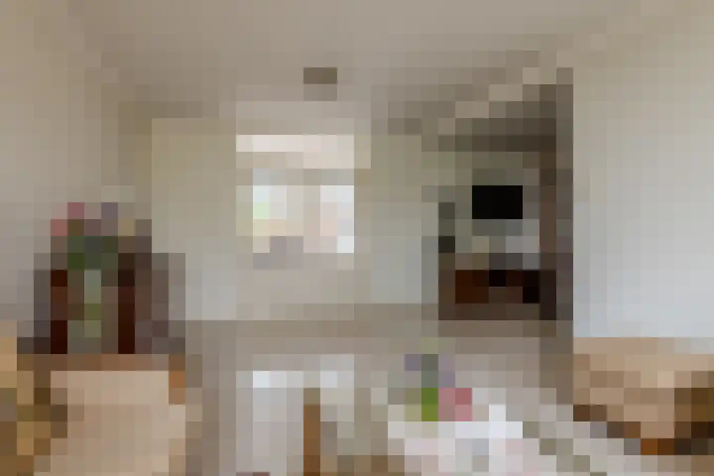 Fazantstraat 4 Beek thumbnail 13