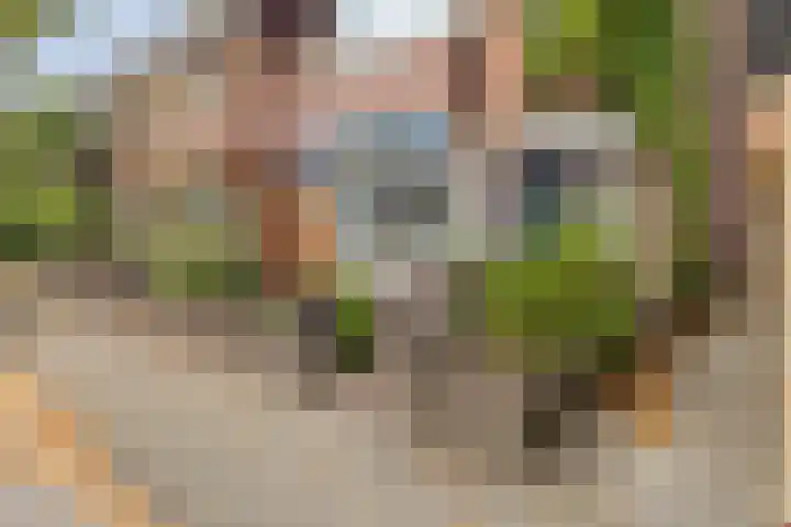 Fazantstraat 4 Breda thumbnail 10
