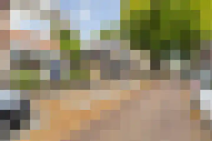 Fazantstraat 4 Breda thumbnail 11