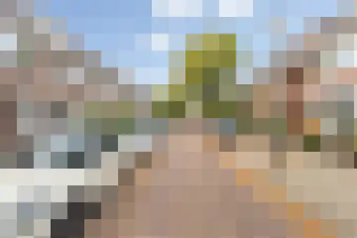 Fazantstraat 4 Breda thumbnail 13