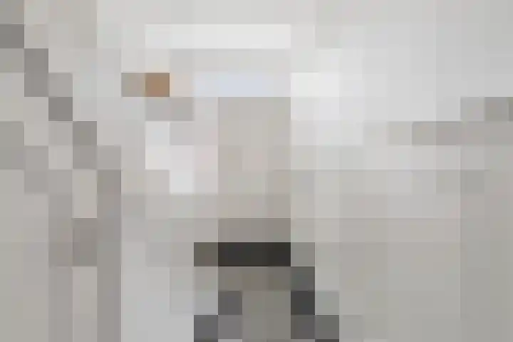 Fazantstraat 4 Breda thumbnail 18