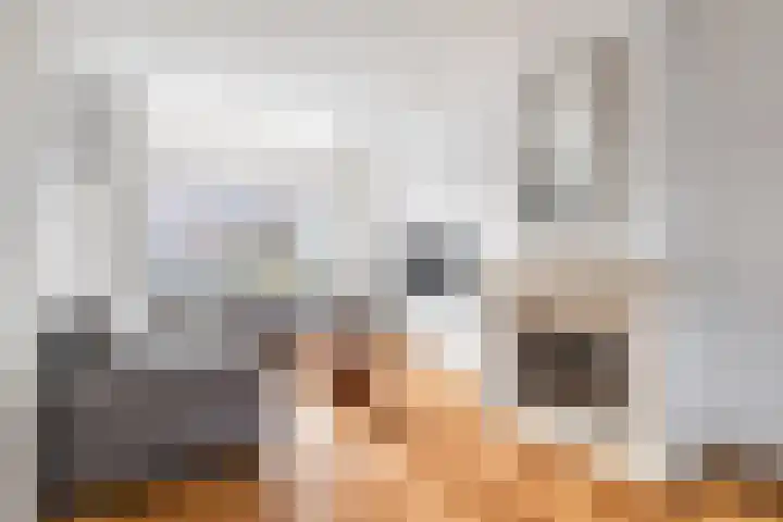 Fazantstraat 4 Breda thumbnail 22