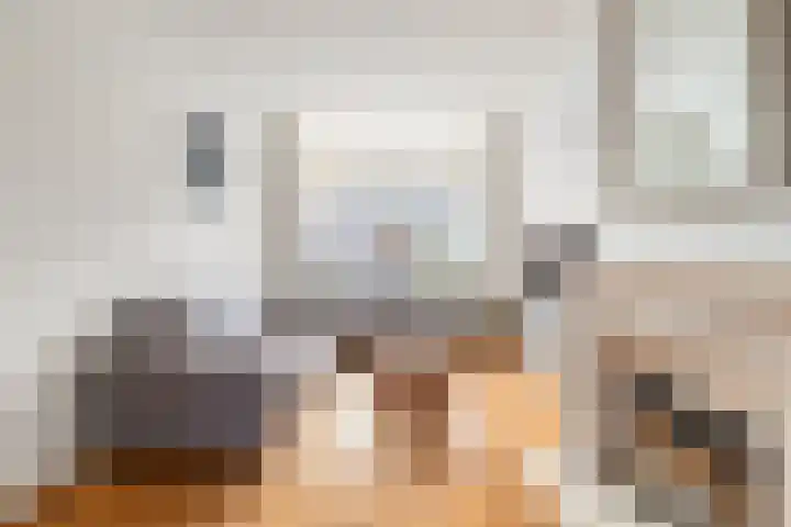 Fazantstraat 4 Breda thumbnail 23