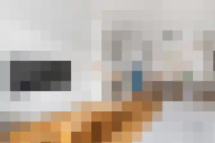 Fazantstraat 4 Breda thumbnail 27