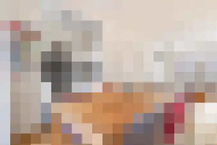 Fazantstraat 4 Breda thumbnail 34