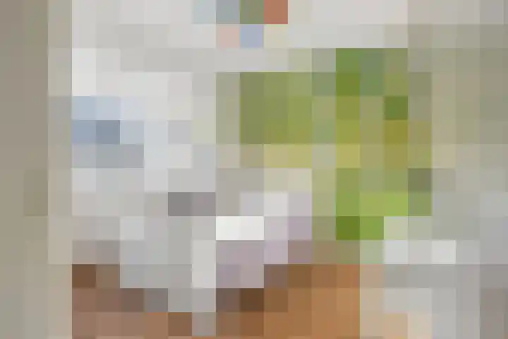 Fazantstraat 4 Breda thumbnail 4
