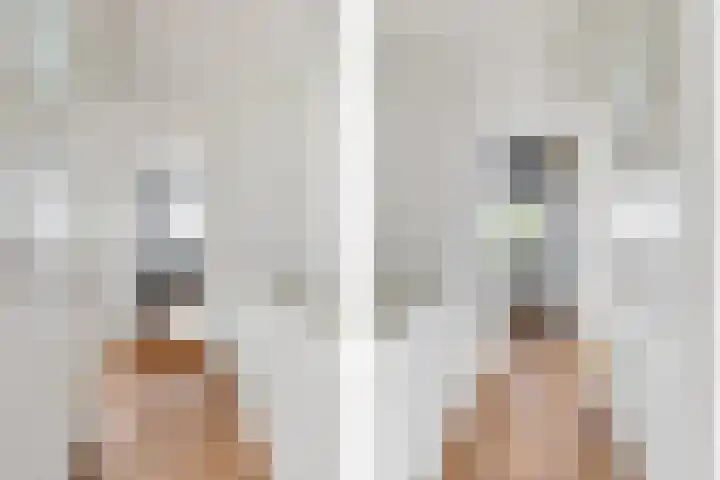 Fazantstraat 4 Breda thumbnail 43