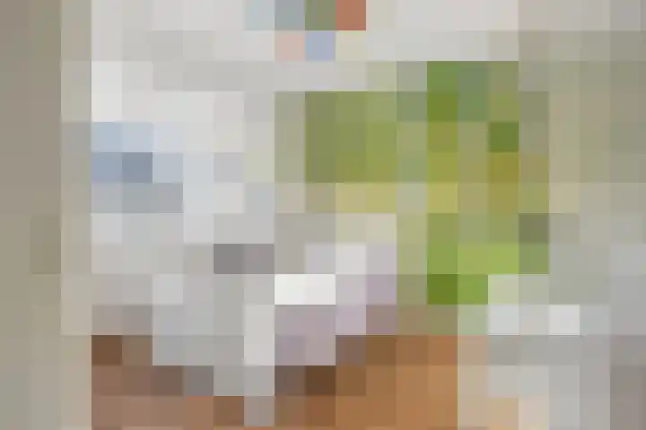 Fazantstraat 4 Breda thumbnail 49