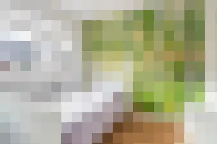 Fazantstraat 4 Breda thumbnail 50