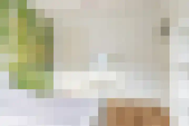 Fazantstraat 4 Breda thumbnail 54