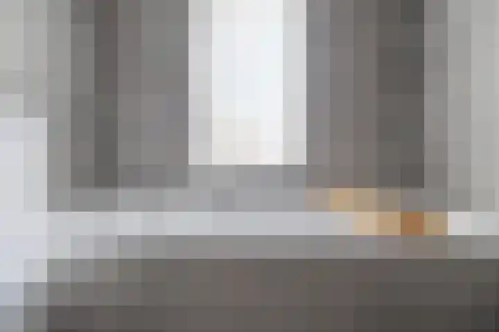 Fazantstraat 4 Breda thumbnail 66