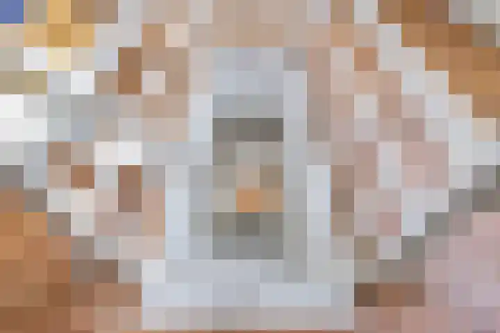Fazantstraat 4 Breda thumbnail 69
