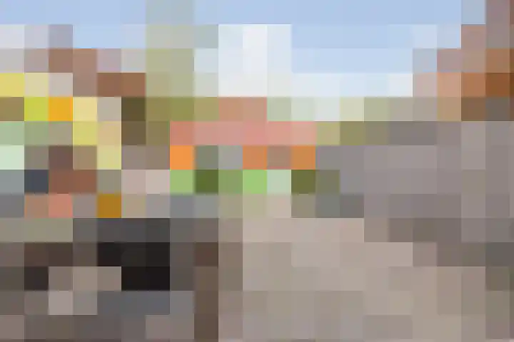 Fazantstraat 4 Breda thumbnail 82
