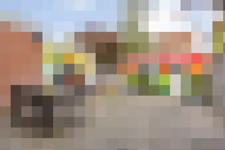 Fazantstraat 4 Breda thumbnail 83