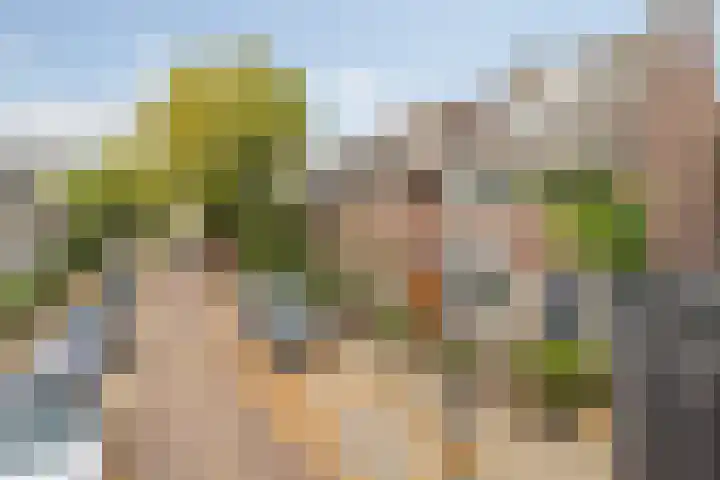 Fazantstraat 4 Breda thumbnail 9