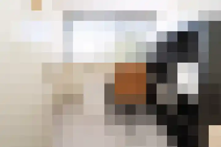 Fazantstraat 42 Brummen thumbnail 15