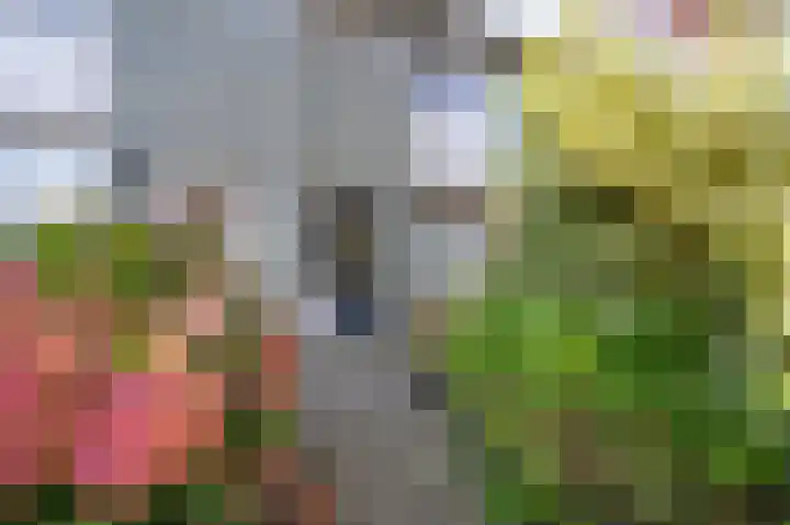 Fazantstraat 42 Brummen thumbnail 23